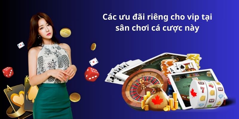 Các ưu đãi riêng cho vip tại sân chơi cá cược này